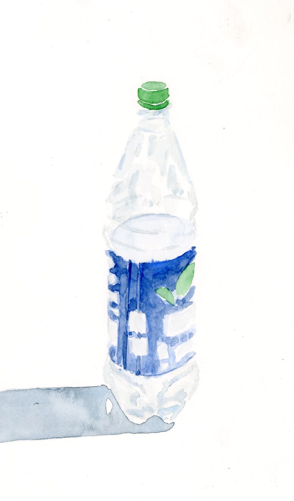 Ripley Whiteside, Desani, 2016