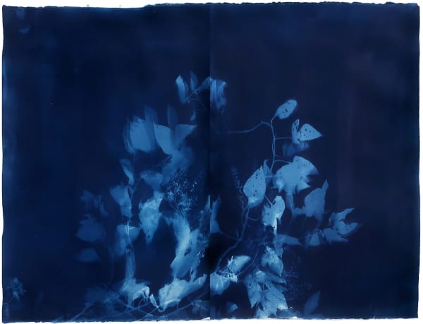 Loren Williams, Deadly nightshade 2, 2022