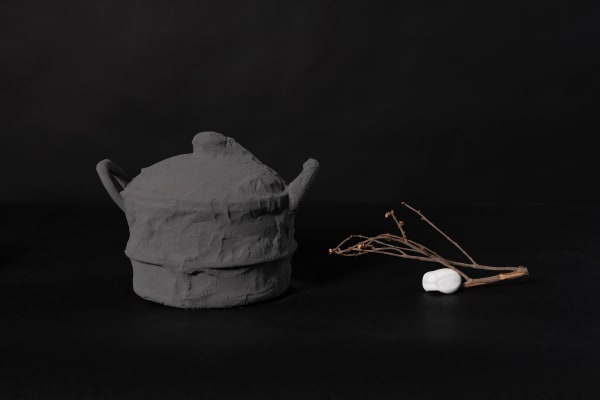 Chih-Chien Wang, An Egg Boiler, a Branch and a Clay, 2024