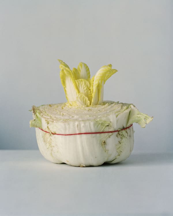 Chih-Chien Wang, Cabbage Flower #2, 2011
