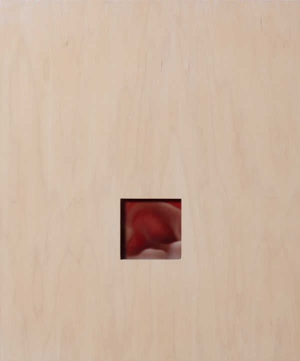 Karilee Fuglem, Luminous #4, 2000