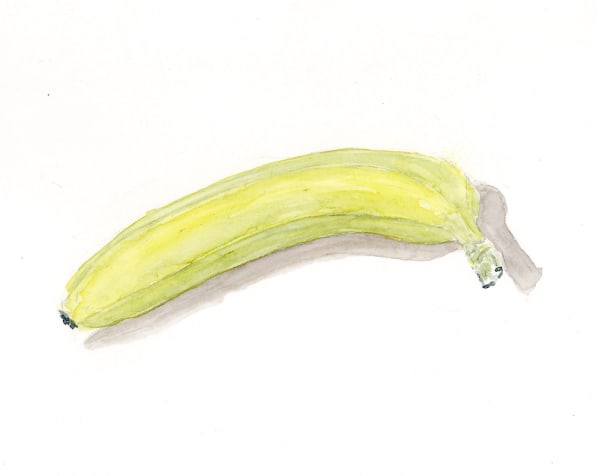 Ripley Whiteside, Unripe Banana, 2016