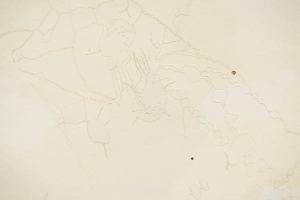 Hannah Claus, the route that ocicâhk preferred, 2017