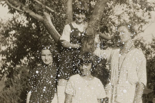 John Latour, Woman and three girls posing around a tree (one girl sitting between tree branches), 2024