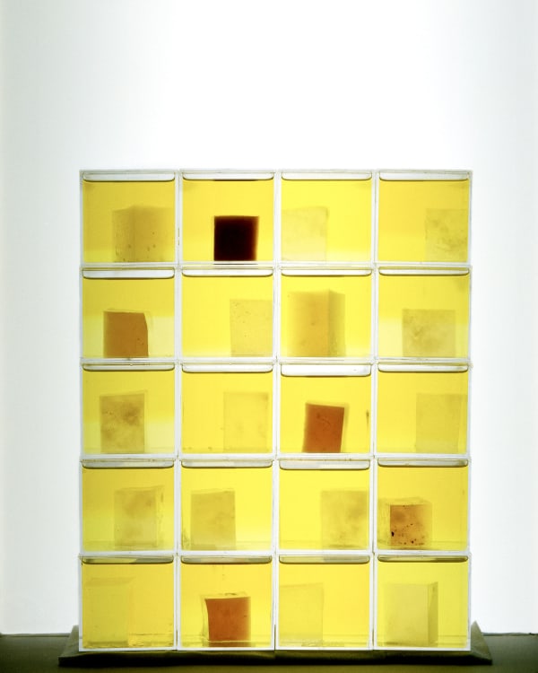 Chih-Chien Wang, Jelly Cubes, 2008