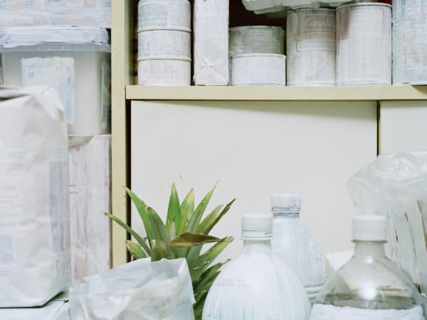 Chih-Chien Wang, White Cans and Pineapple, 2009