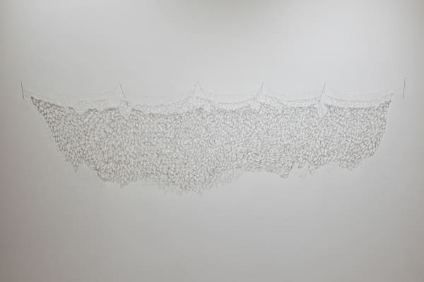 Karilee Fuglem, an unsubstantial territory, 2024