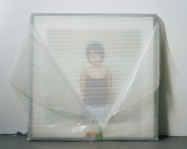 Chih-Chien Wang, Yushan Framed, 2012