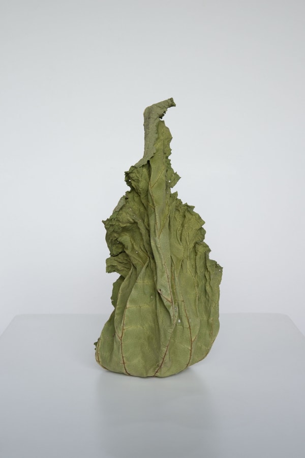 Chih-Chien Wang, Rhubarb Leaf Front, 2020