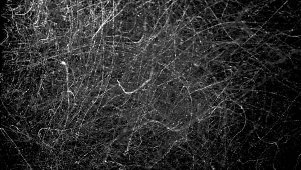 Karilee Fuglem, Snow Architecture I, 2018-19