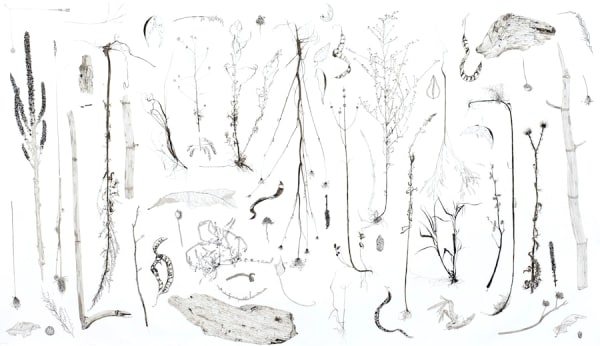 Ripley Whiteside, Outer Harbor, 2010