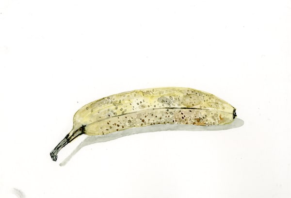 Ripley Whiteside, Ripe Banana, 2016