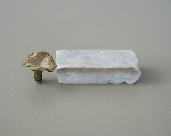 Chih-Chien Wang, Ola's Stone, 2017