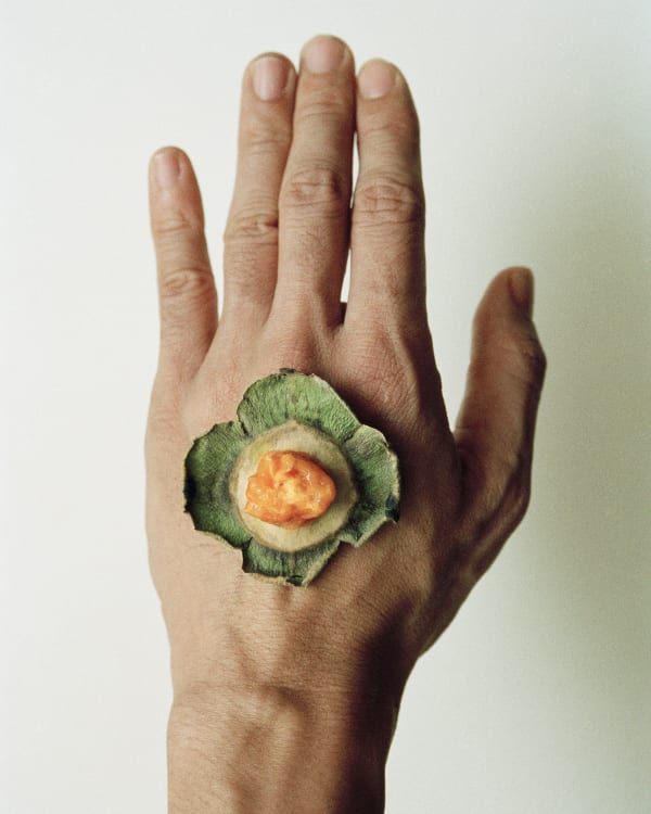 Chih-Chien Wang, Persimmon on Hand, 2007