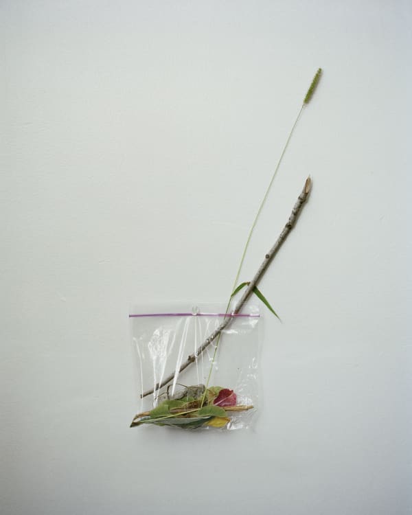 Chih-Chien Wang, Short Sentence #1 / A Bag of 16 Items, 2011