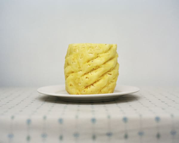 Chih-Chien Wang, Pineapple #1, 2011