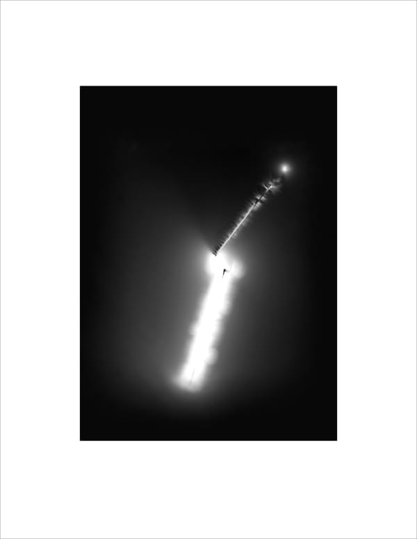 Marie-Jeanne Musiol, Corps de lumière no 268 (Tige) / Bodies of Light no. 268 (Stem), 2024