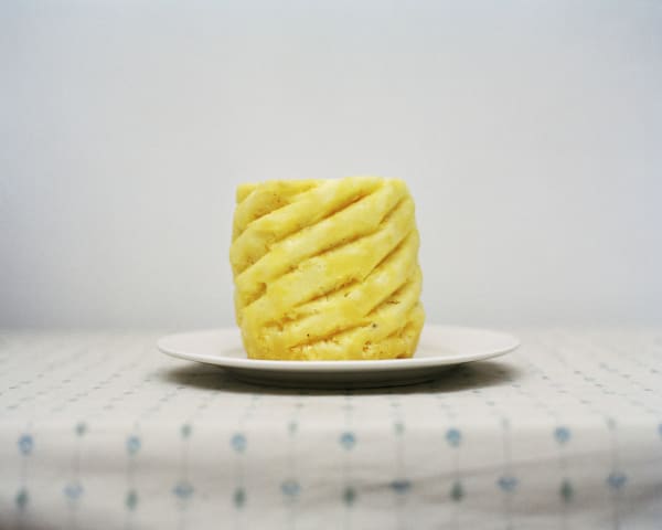 Chih-Chien Wang, Pineapple #6, 2011