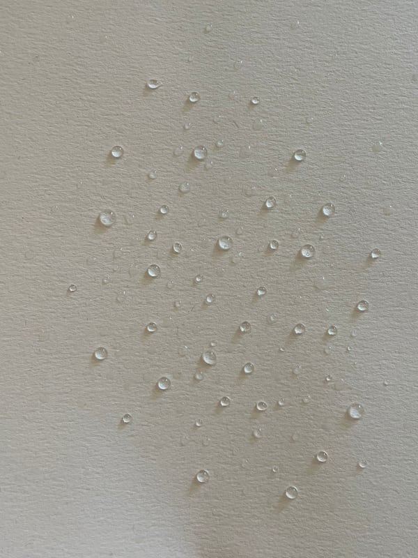 Karilee Fuglem, Drops 3, 2022