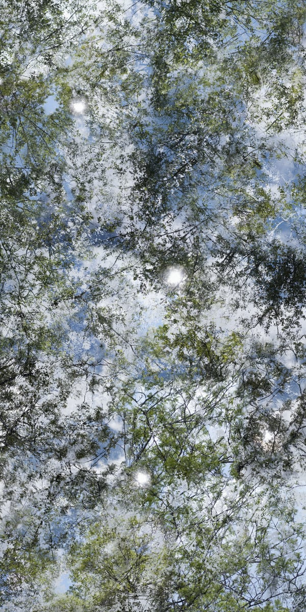 Chih-Chien Wang, Sunny Afternoon 2014 #101_06_L, 2014