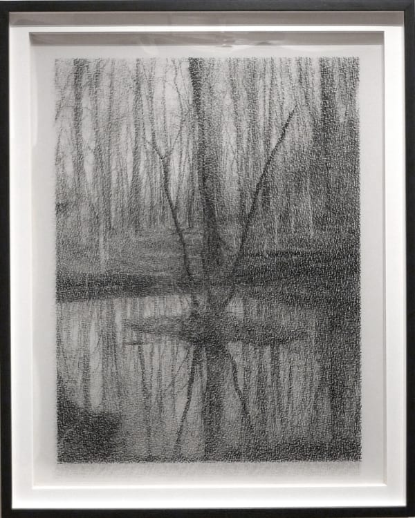 Roberto Pellegrinuzzi, Constellation (Ilôt), 2011