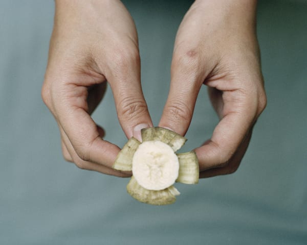 Chih-Chien Wang, Banana Flower #1, 2005