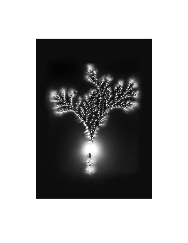 Marie-Jeanne Musiol, Corps de lumière no 429 (Cèdre) / Bodies of Light no. 429 (Cedar), 2024