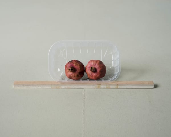 Chih-Chien Wang, Pomegranates, Plastic Packaging and Wood , 2016