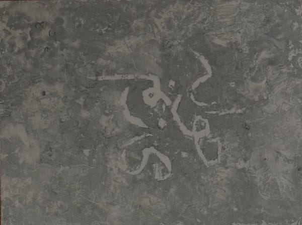 Leila Zelli, Étude pour Je germinerai, 2023