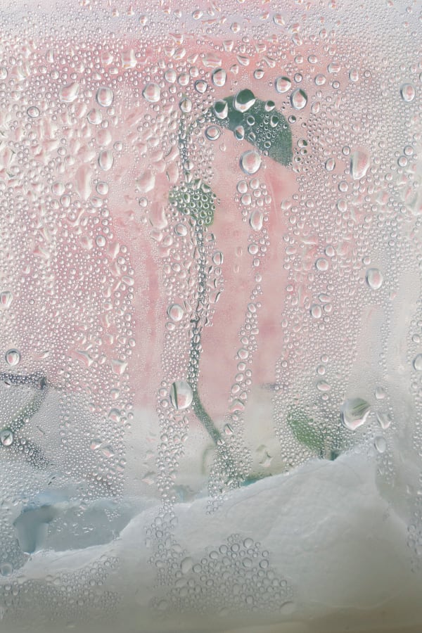 Chih-Chien Wang, Droplets Lemon Sprout, 2023