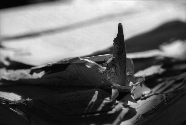 Leila Zelli, Les paysages sacrés, 2018