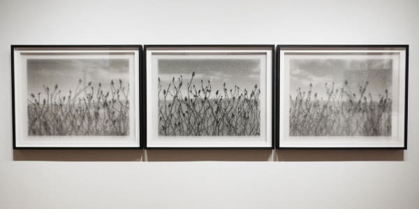 Roberto Pellegrinuzzi, Constellation (Vinaigrier panorama) triptyque, 2010