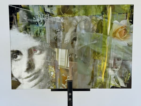 Luc Courchesne, Wien Chiaroscuro – Extrait Niveau 1, Sabina Spielrein (version 16.5 x 24), 2025