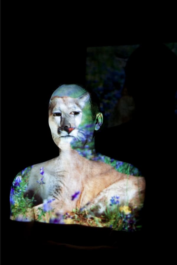 Meryl McMaster, Cougar, 2010