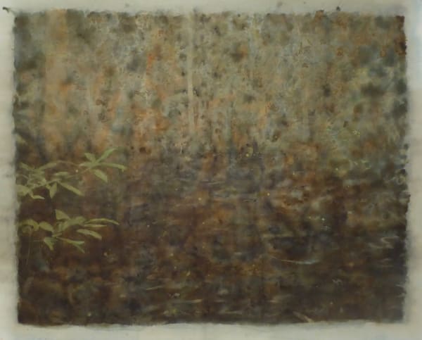 Ripley Whiteside, Bog, 2019