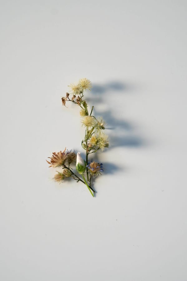 Chih-Chien Wang, Three Flowers, 2021
