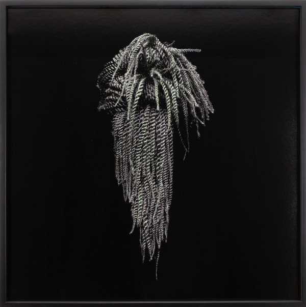 Senegalese Twists no. 4, 2020 Impression au jet d'encre sur papier photographique 100% coton de qualité archive / Pigment ink on cotton rag Stephane Alexis 25 x 25 " 63.5 x 63.5 cm Ed. 2