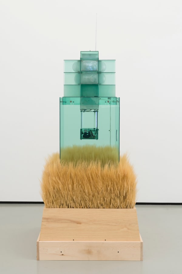 Carl Cheng, Early Warning System, 1969-2023