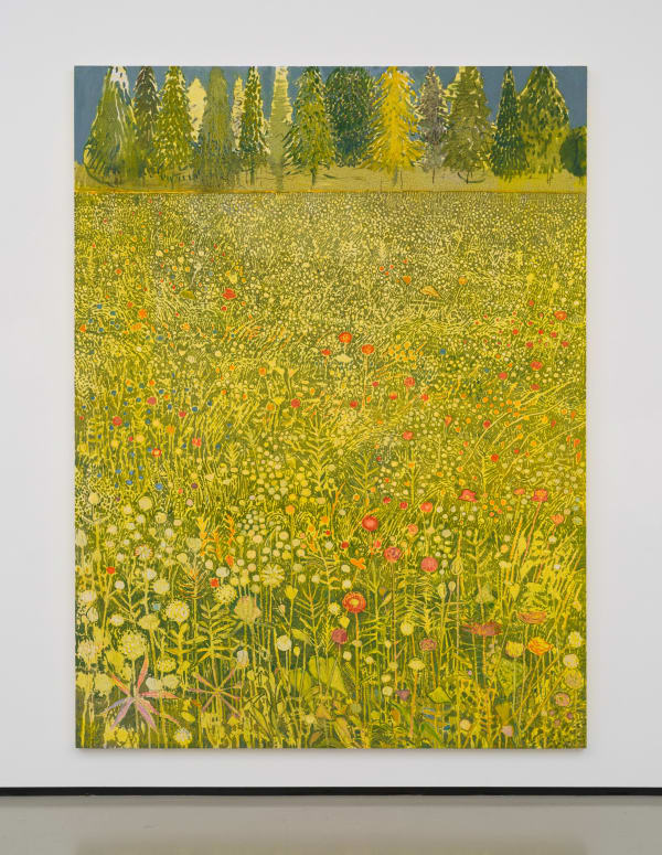 Sky Glabush, Wildflower Field, 2025