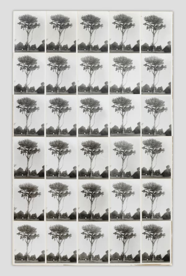 Lew Thomas, Scale, 1972