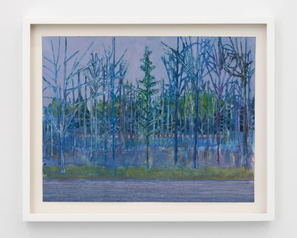 Sky Glabush, Lavender Light, 2024