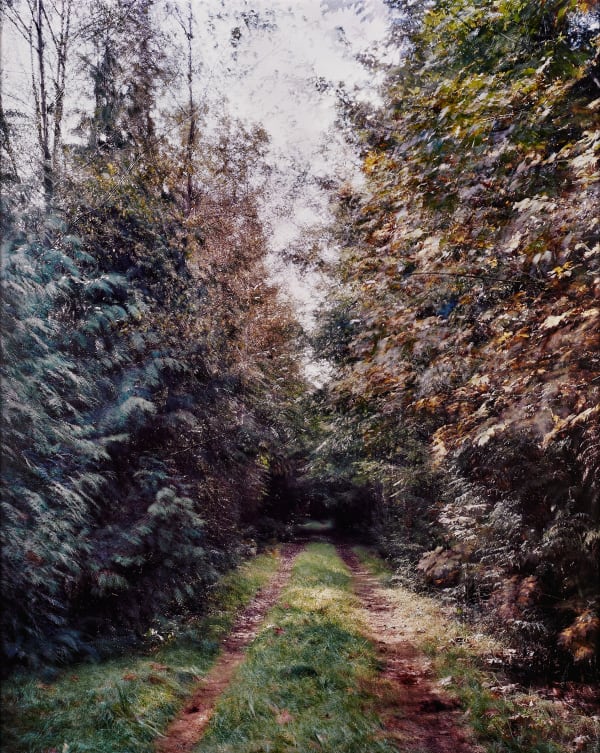Michael Wesik, Logging Road, Composition No. 5, 2022