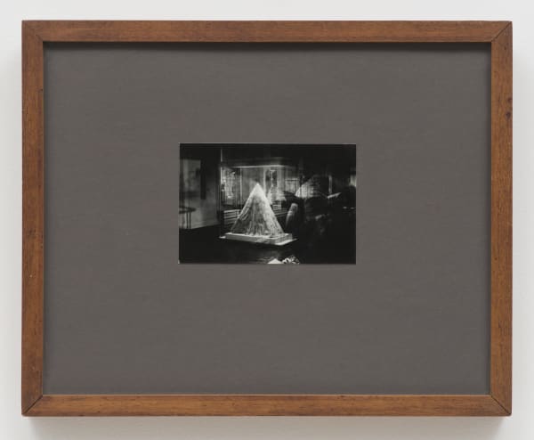 Pat O’Neill, Untitled (Rhinoceros), 1985