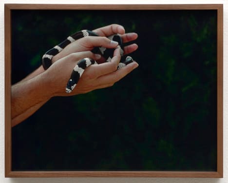 Elad Lassry, California King Snake, CKS, 2007