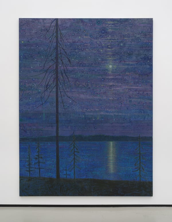 Sky Glabush, Every Star in the Sky, 2025