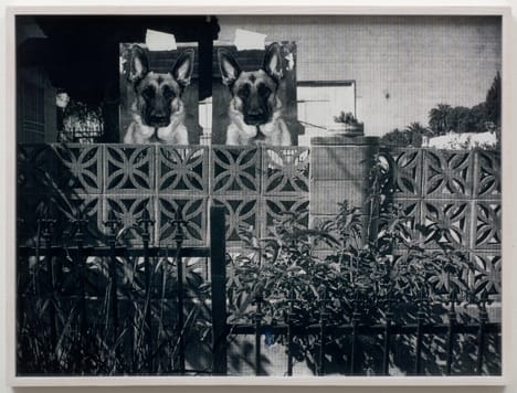 Amanda Ross-Ho, Shepherds (Double Tragedy), 2008