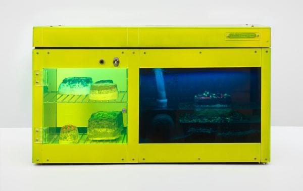 Carl Cheng, Erosion Machine No. 1 (#5) , 1969