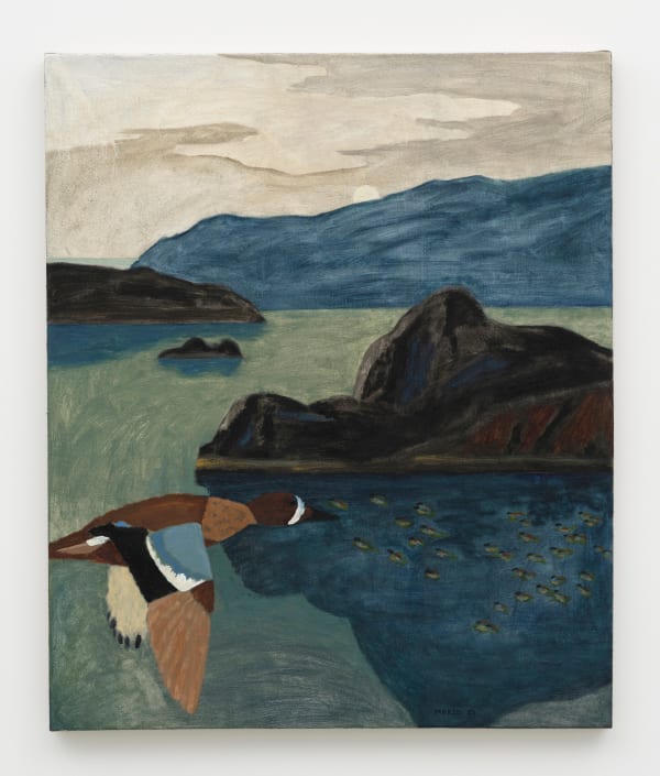 James Morse, Blue Teal, 2023