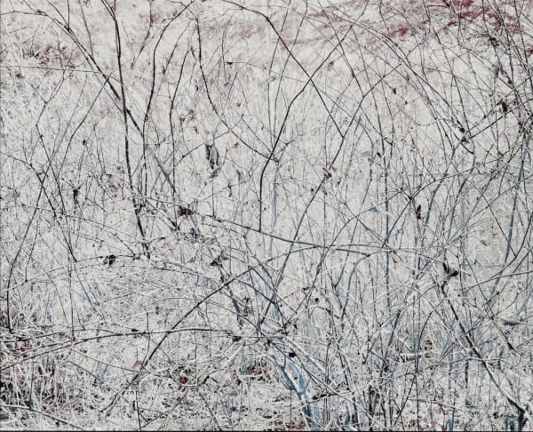 Michael Wesik, Salmonberry Thicket, Composition No. 7, 2022