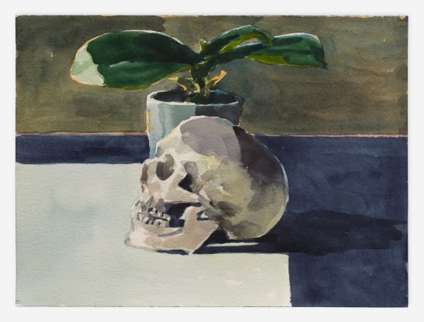 Tomory Dodge, Skull with Plant, 2024